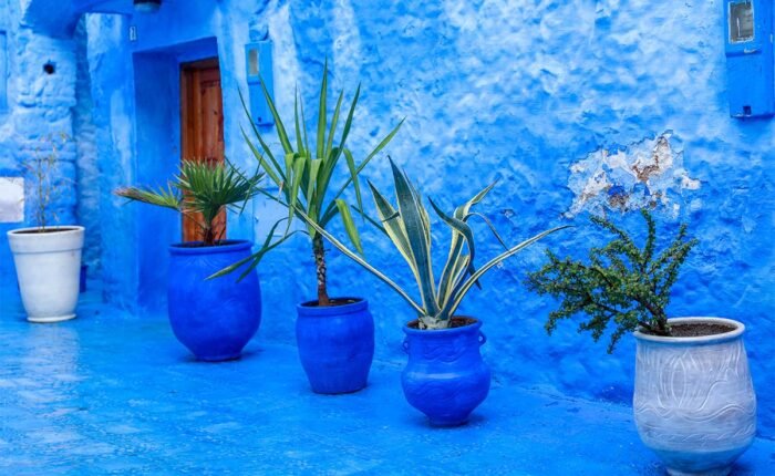 Sahara Desert tour from Casablanca to Chefchaouen